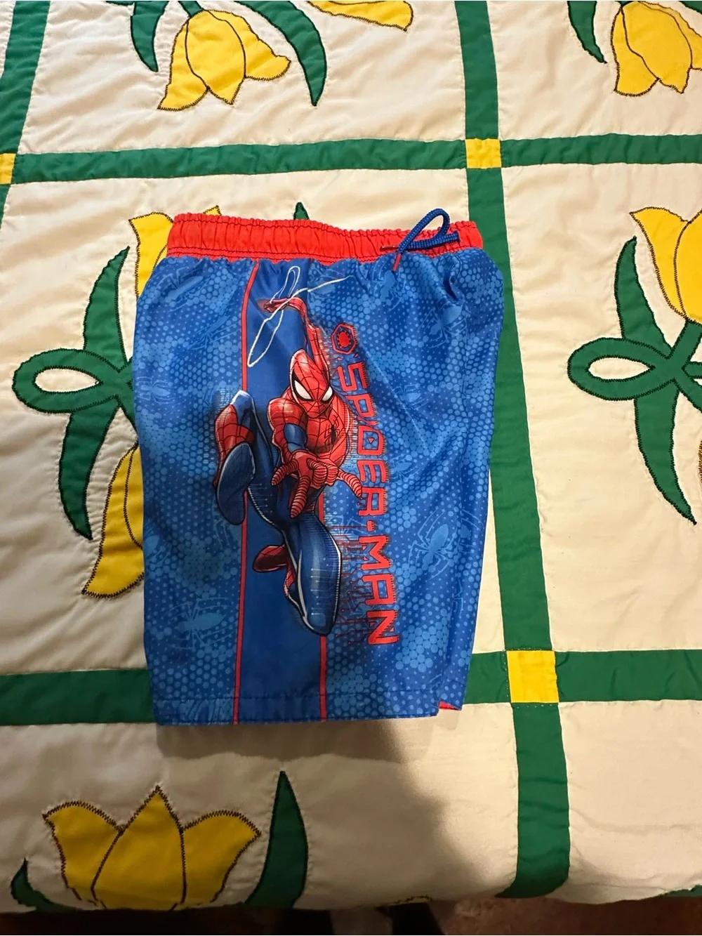 Spider-Man Red & Blue Rash Guard Set